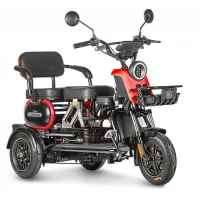 Электротрицикл Wanshida UN MOTO 60V 650Вт Черно-красный